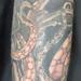tattoo galleries/ - Octopus 5 - 53400